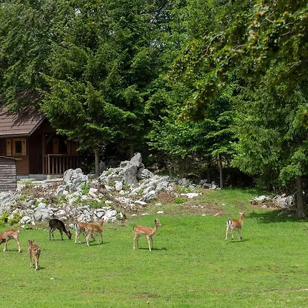 Apartma Vidmar Otlica Appartement