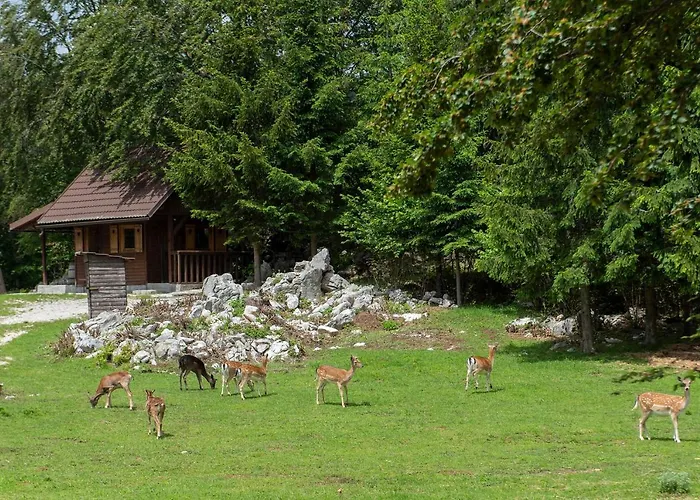 Apartma Vidmar Otlica Apartamento